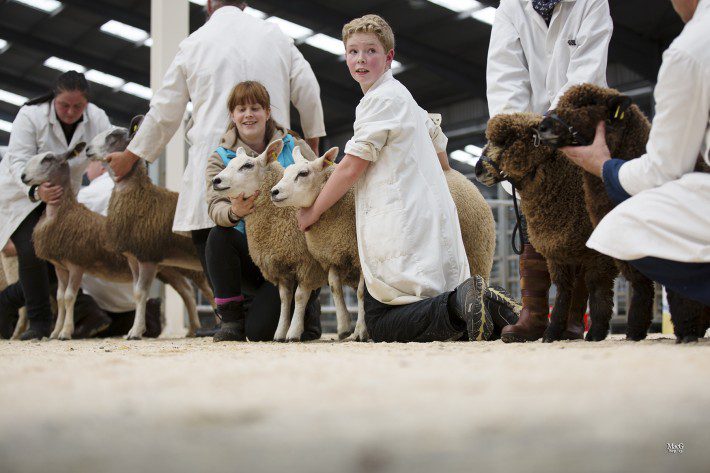 Scottish Smallholder Festival