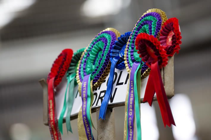 Scottish Smallholder Festival