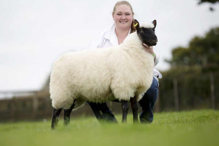 Scottish Smallholder Festival