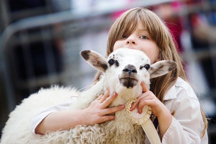 Scottish Smallholder Festival