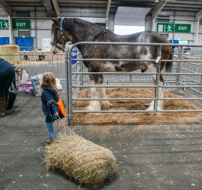 Scottish Smallholder Festival