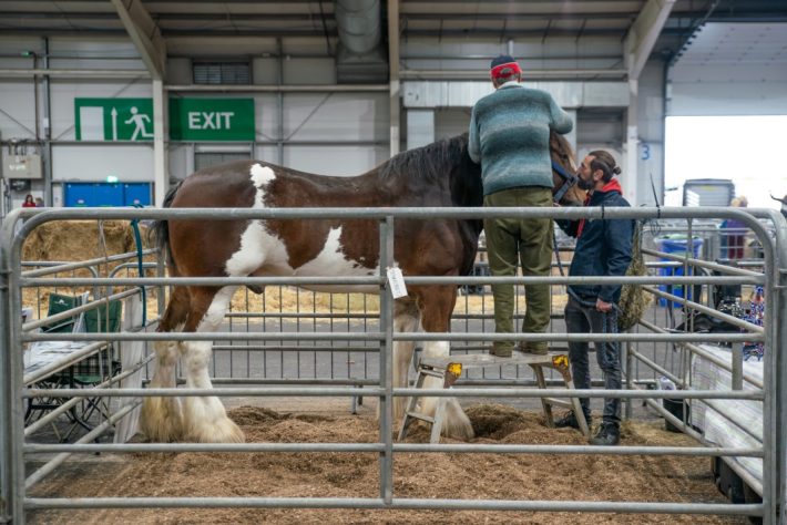 Scottish Smallholder Festival