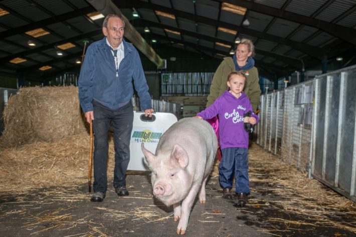 Scottish Smallholder Festival