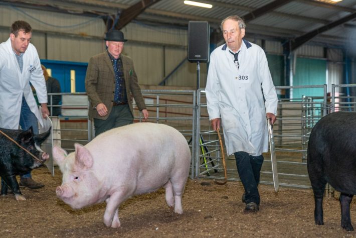 Scottish Smallholder Festival