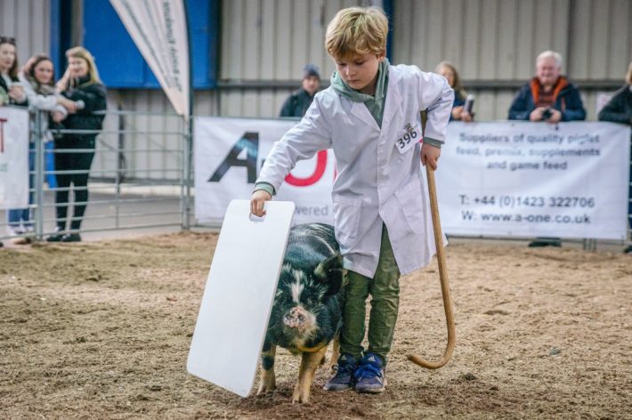 Scottish Smallholder Festival