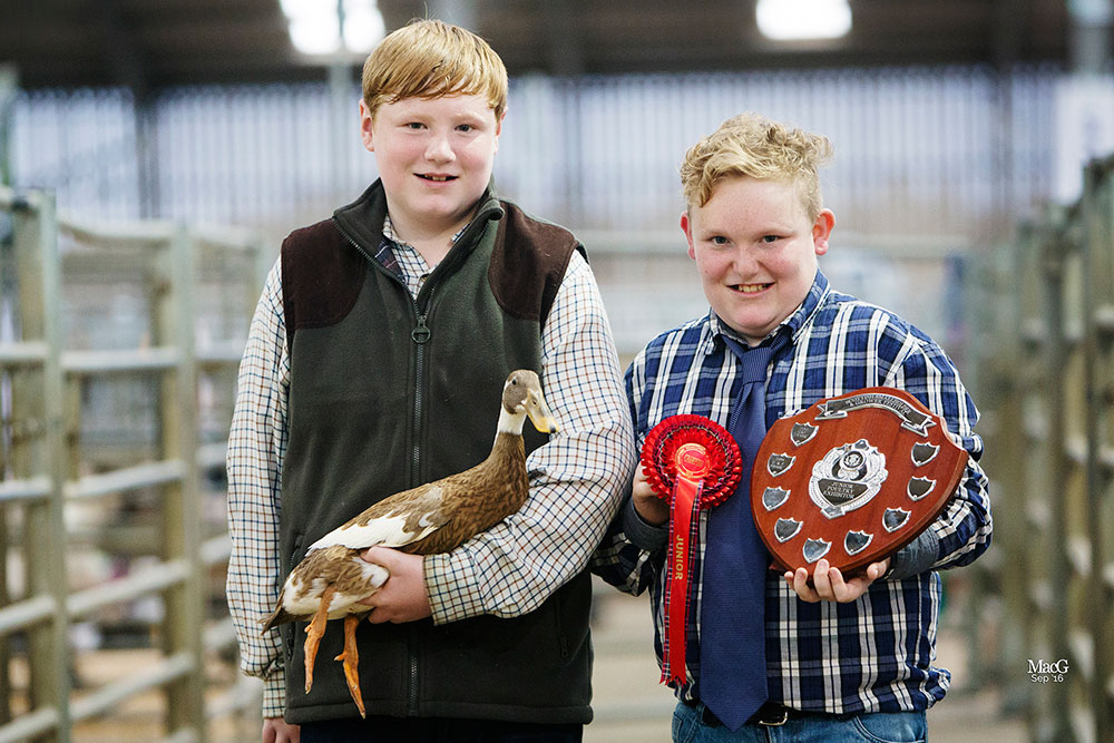 Junior Poultry Champion, C&F Frame