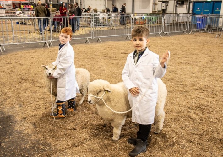 Scottish Smallholder Festival