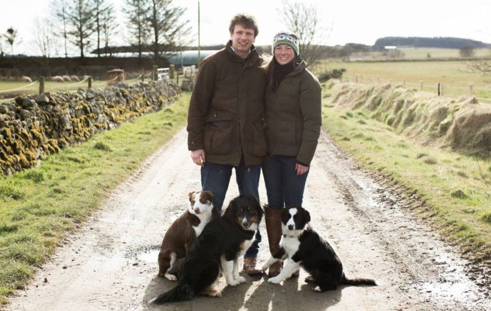 Aberdeenshire Sheepdogs