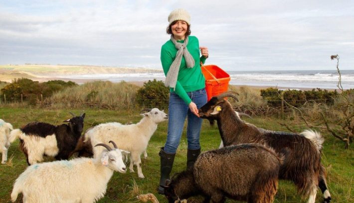 Lunan Bay Farm