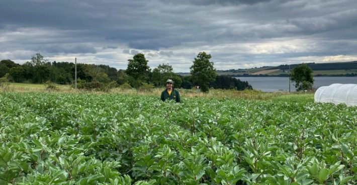 Seeds of Scotland